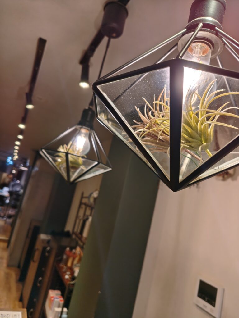RUANA青山の植物をあしらったペンダントライト